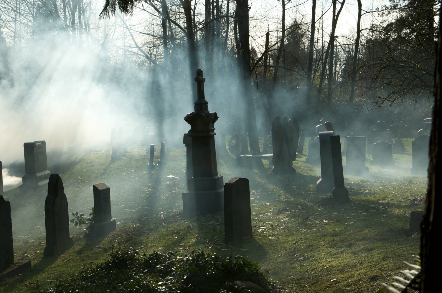 Фанатам «Дневников вампира» запретят ходить по кладбищу Мистик-Фоллс в темноте